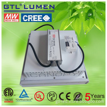 five years warranty sensor dimmable LED canopy light with Meanwell dri